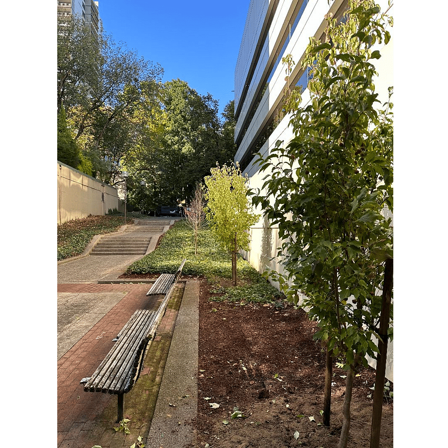 Sidewalk through Halprin Landscape Conservancy