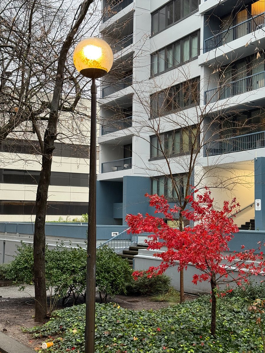 Sidewalk through Halprin Landscape Conservancy