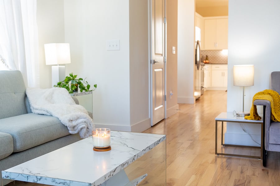 Furnished Finder property 559657_2 photo 16