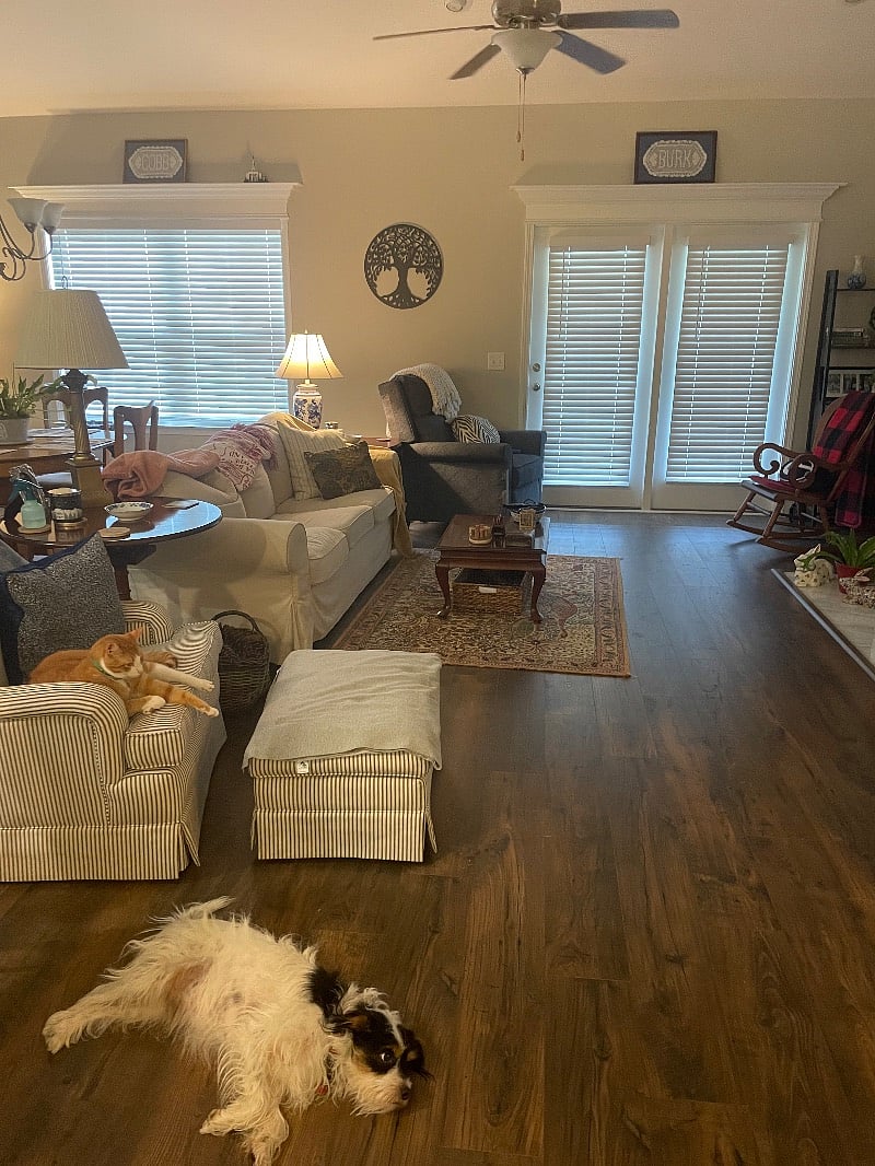Furnished Finder property 559664_1 photo 12