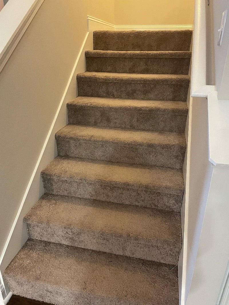 Furnished Finder property 559664_1 photo 21