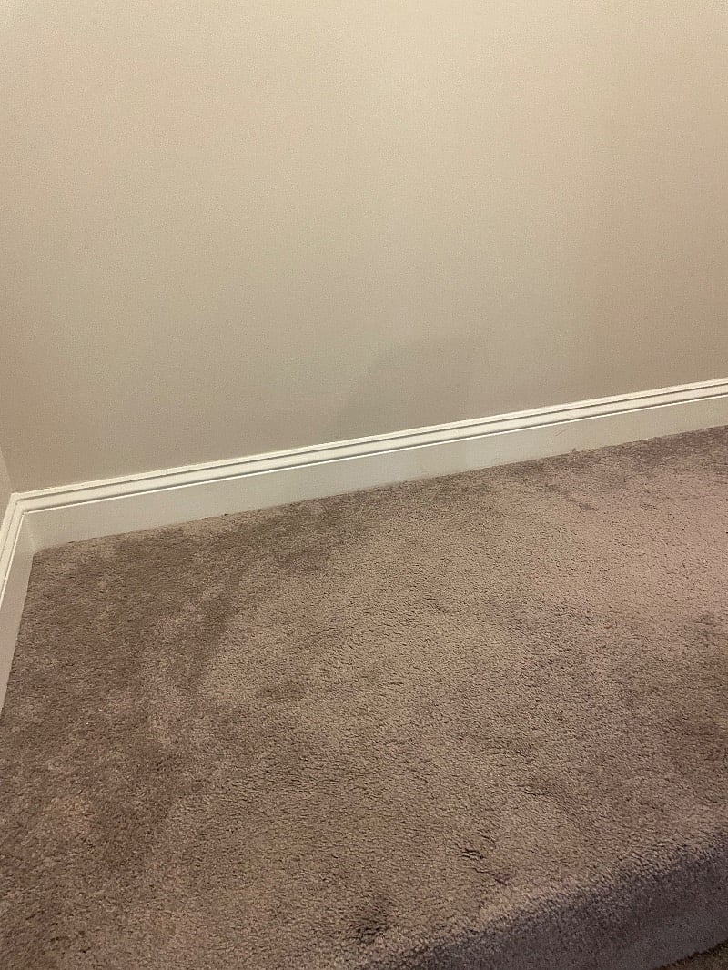 Furnished Finder property 559664_1 photo 22