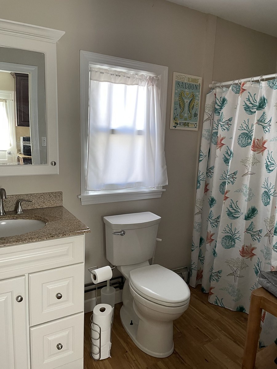 Furnished Finder property 559705_1 photo 15