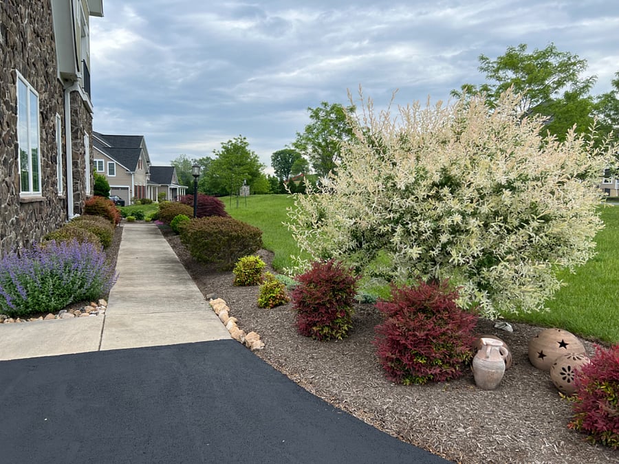 Furnished Finder property 559862_1 photo 17