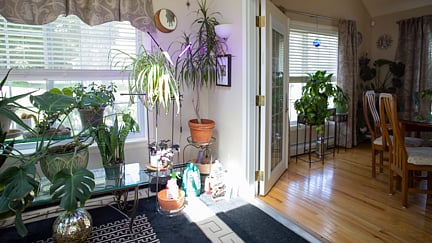 Furnished Finder property 559948_1 photo 14
