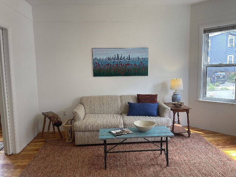 another view of living room with sofa bed for guests