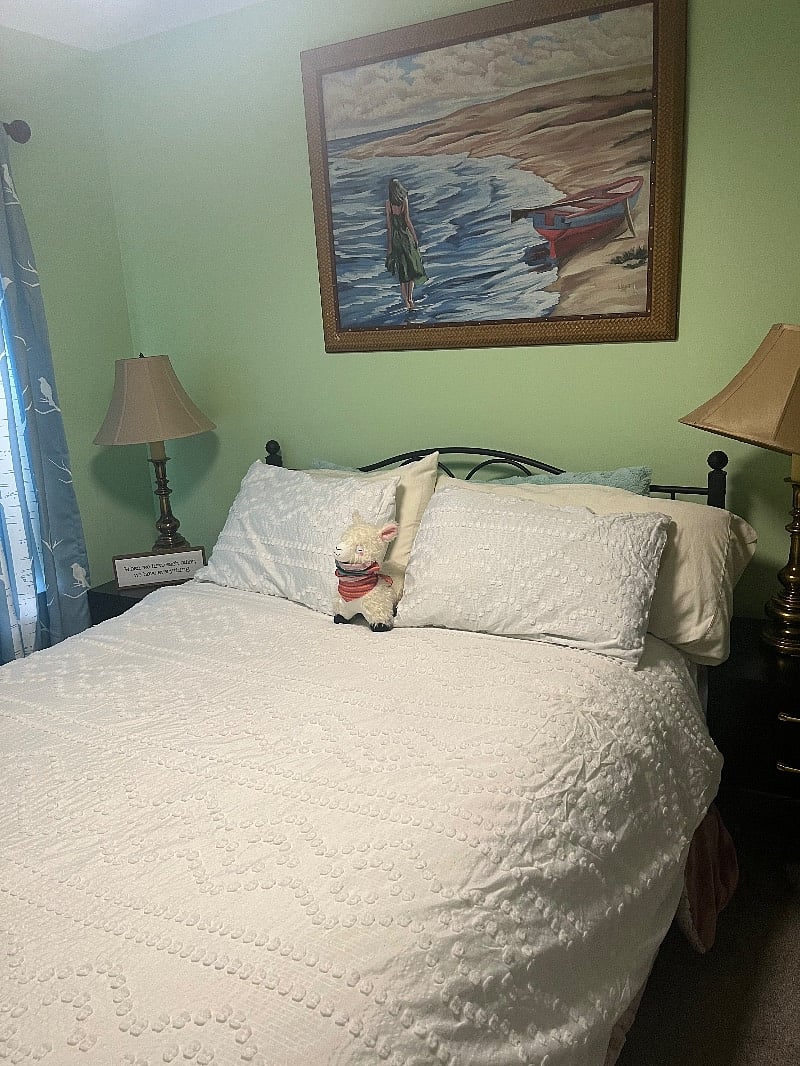 Furnished Finder property 560010_1 photo 25