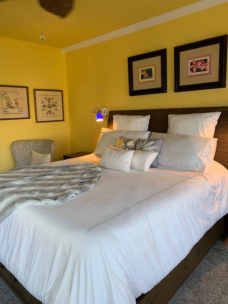 Master bedroom with walk-in closet. 