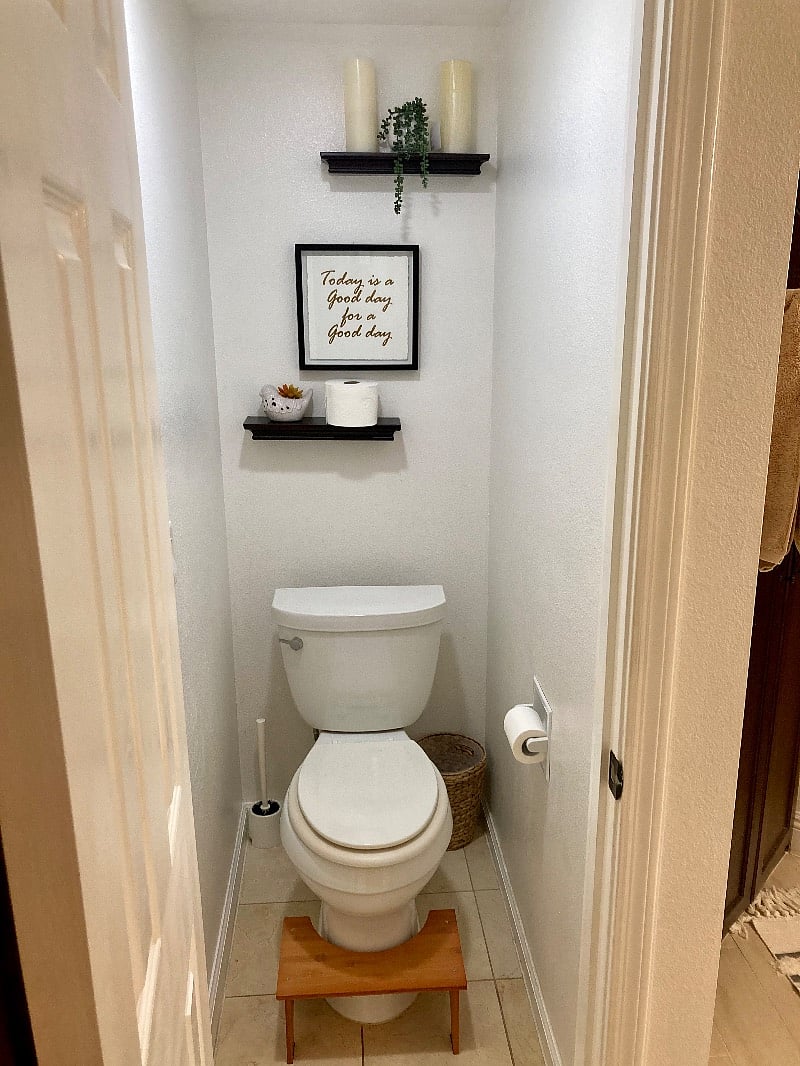 Master toilet