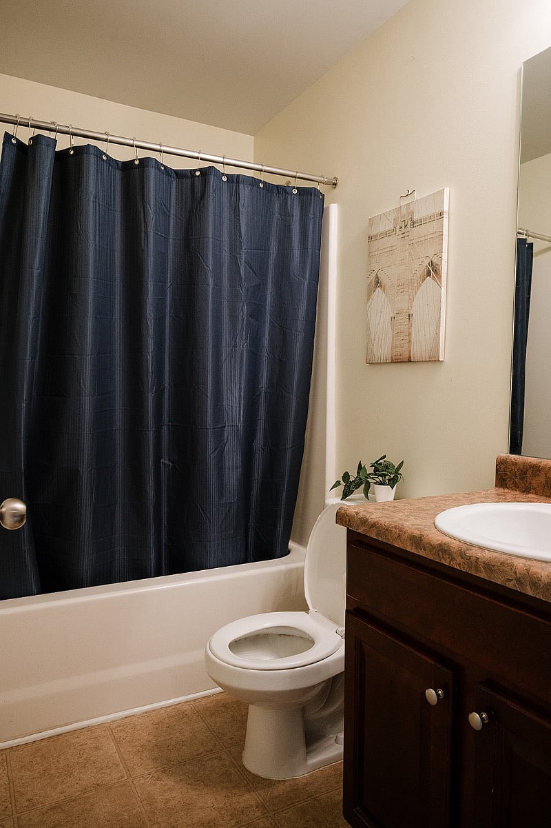 Furnished Finder property 560157_1 photo 4