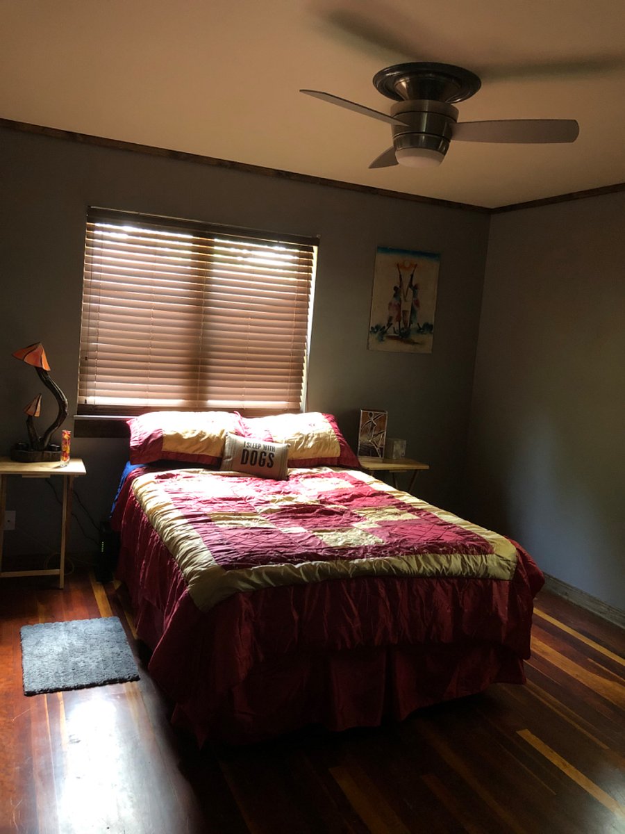 Furnished Finder property 560178_1 photo 7