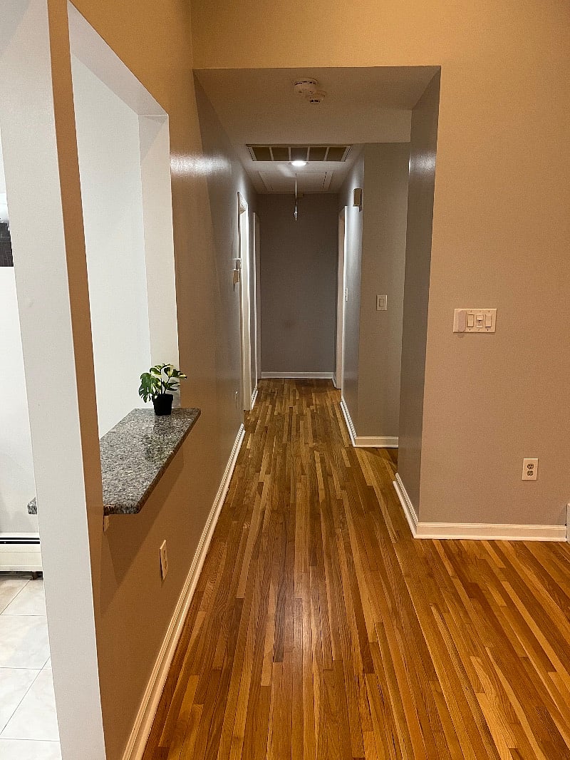 Furnished Finder property 560209_1 photo 28