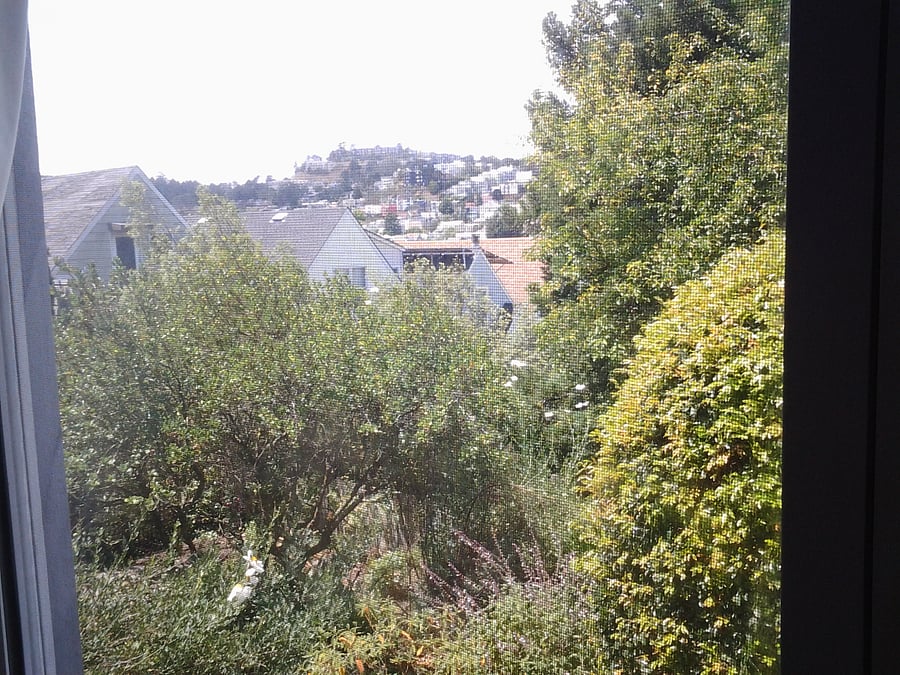 Furnished Finder property 560255_2 photo 11