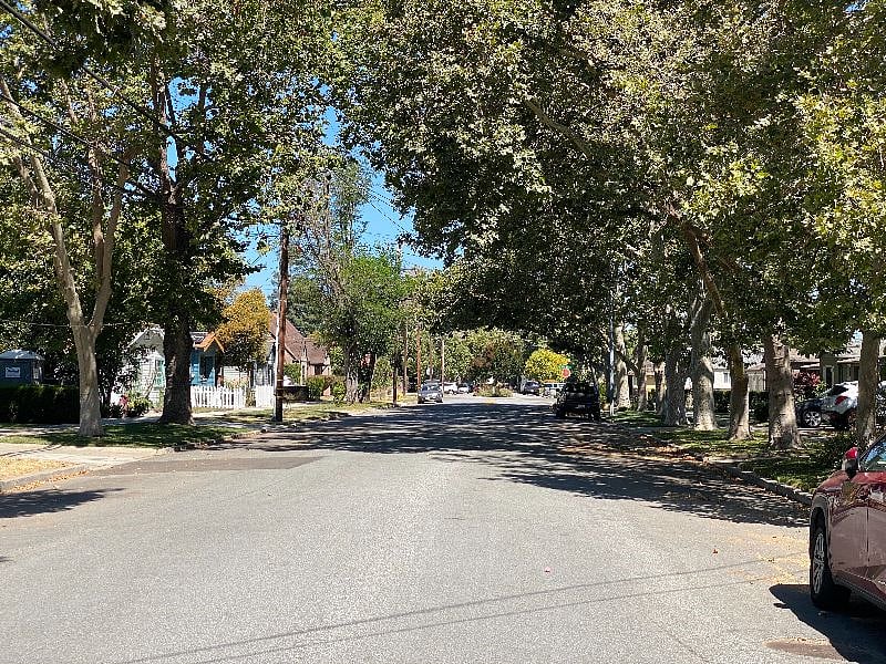 Hyde Park Tree Lined Neighborhood