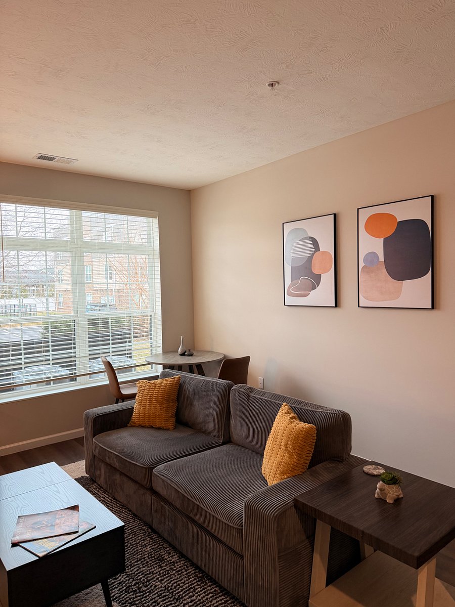 Furnished Finder property 560583_1 photo 5