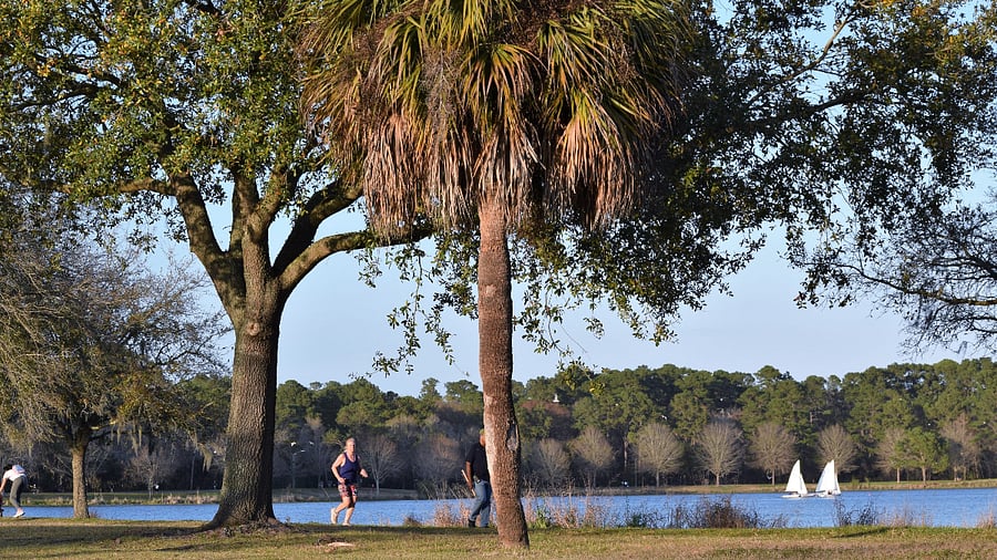 Lake Mayer Recreation Area is a 5 minute walk from the apartment. It features a walking and biking trail, fishing and kayaking.