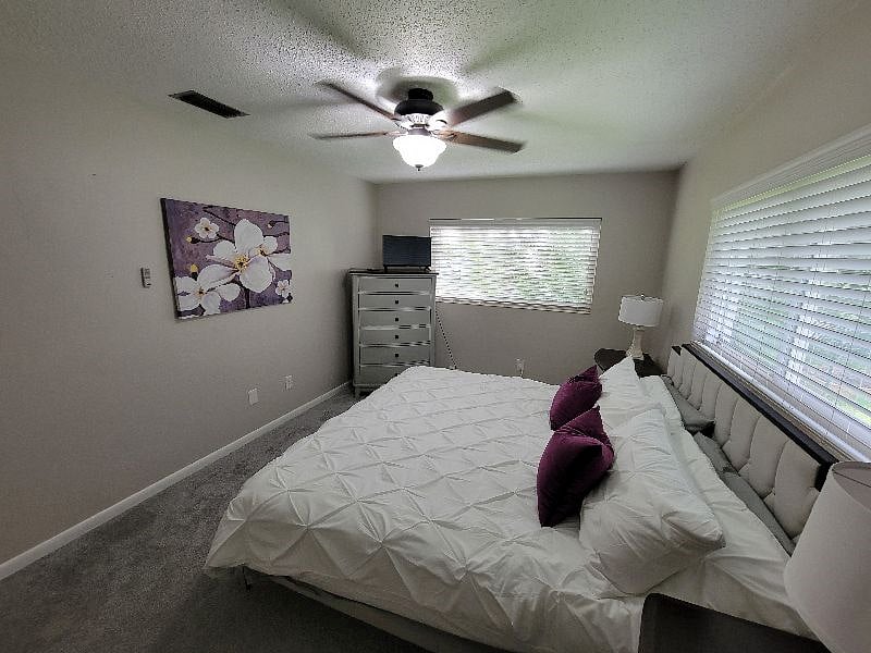 Primary bedroom with king size bed