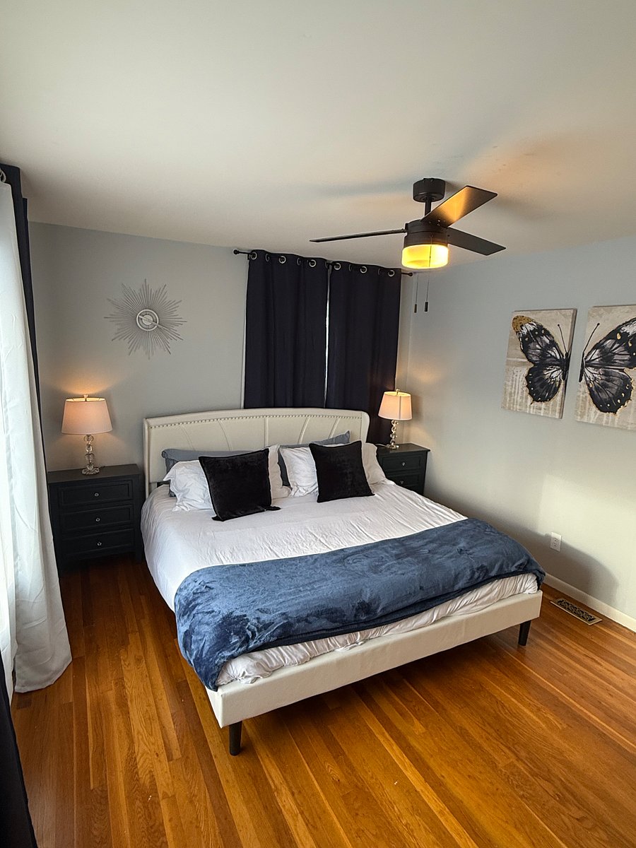 Furnished Finder property 560786_1 photo 21
