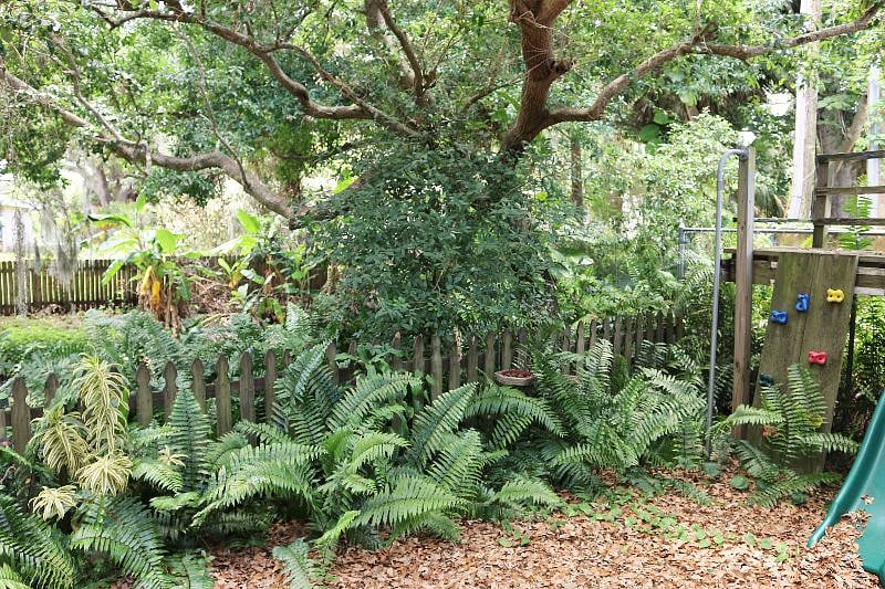 Backyard. Back fence (not sides) has been removed but still very secluded.