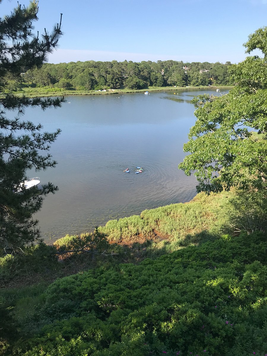 Taylor's Pond