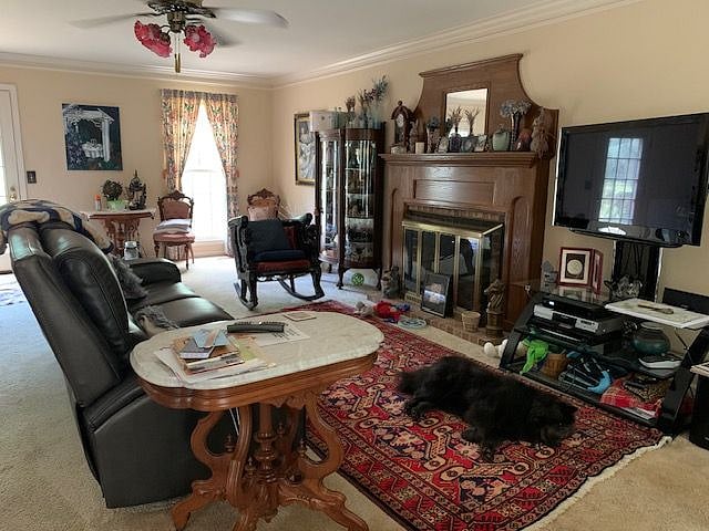 Furnished Finder property 560913_1 photo 11