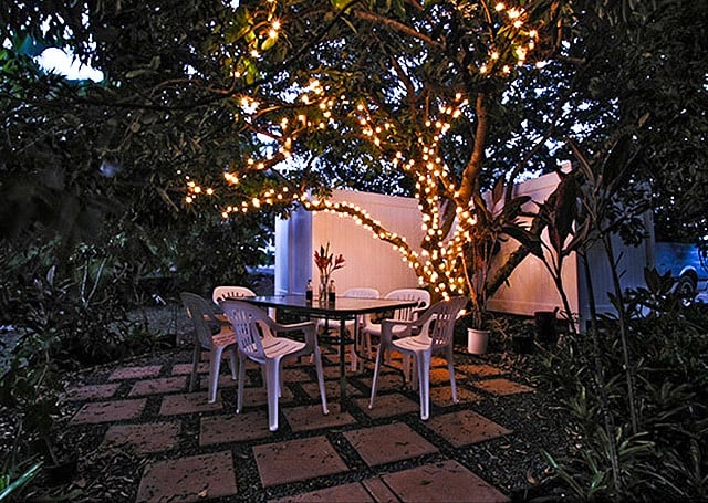 The area under the lychee tree may be lit in the evenings.