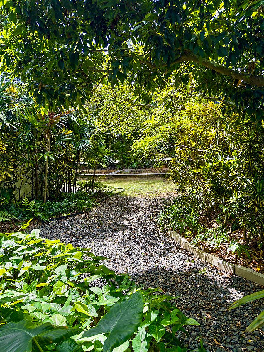 View towards the raised beds from the Garden lanai.