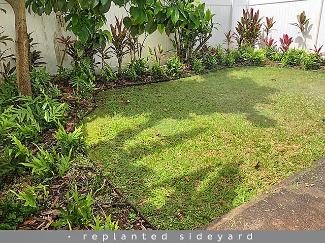 a view of the sideyard without furniture.