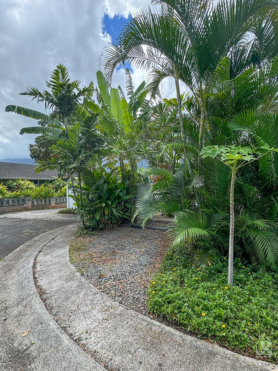 Palms, bananas and papayas provide privacy at your off the private cut-de sac parking spot.