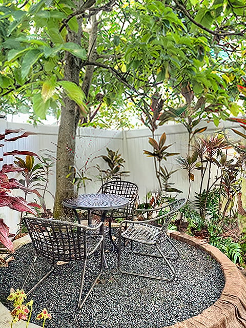 garden seating for three under the avocado tree . . .
