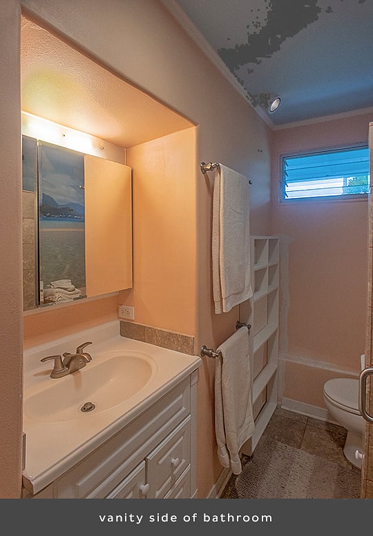 A mirrored medicine cabinet covers the back wall over a drawered vanity sink cabinet. 