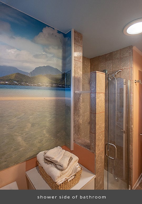 Kaneohe Bay's beauty shines in this bathroom wall mural by James  Kastner.