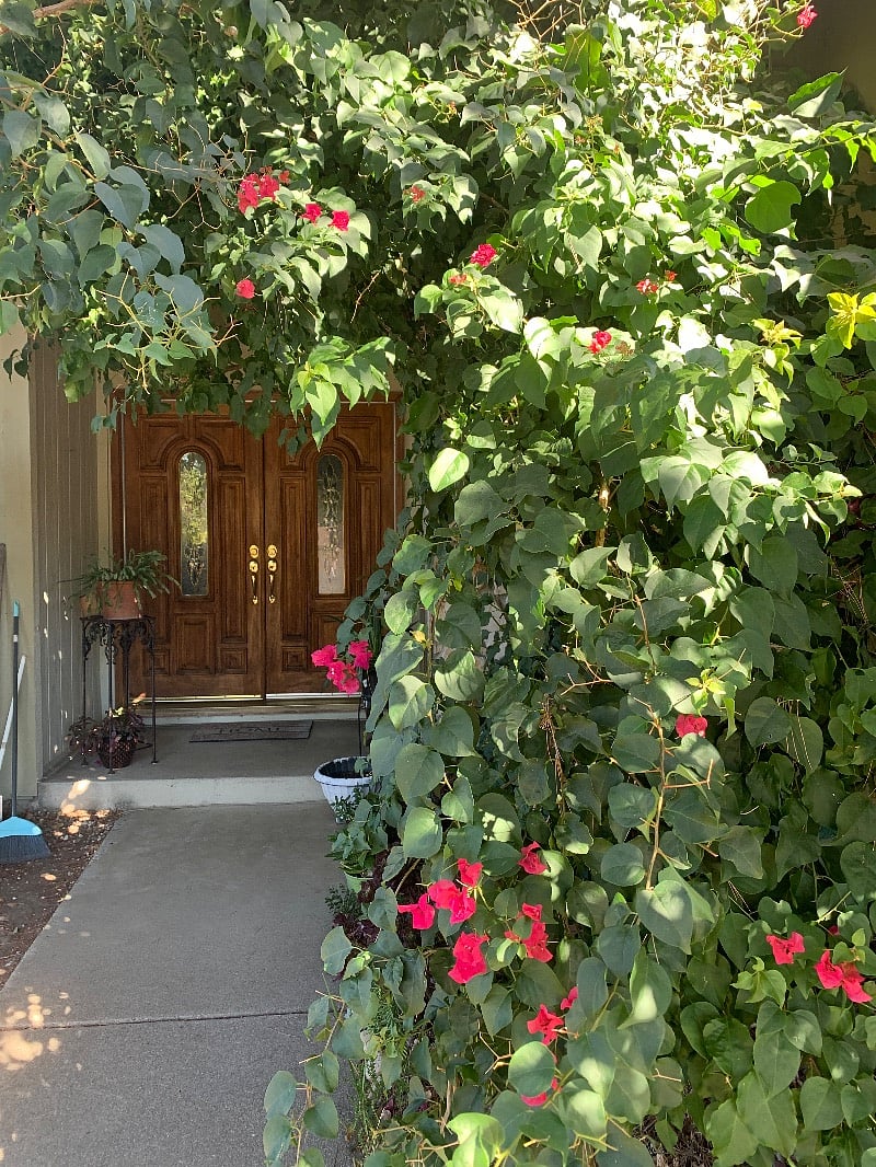 Furnished Finder property 561145_1 photo 7
