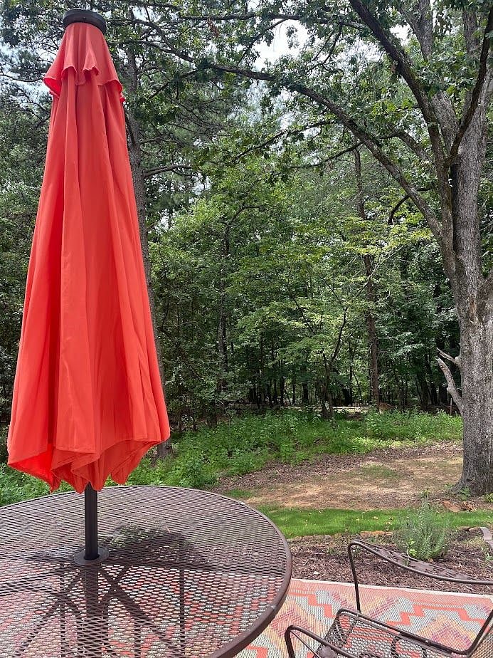 Patio looks over the woods and towards the lake.