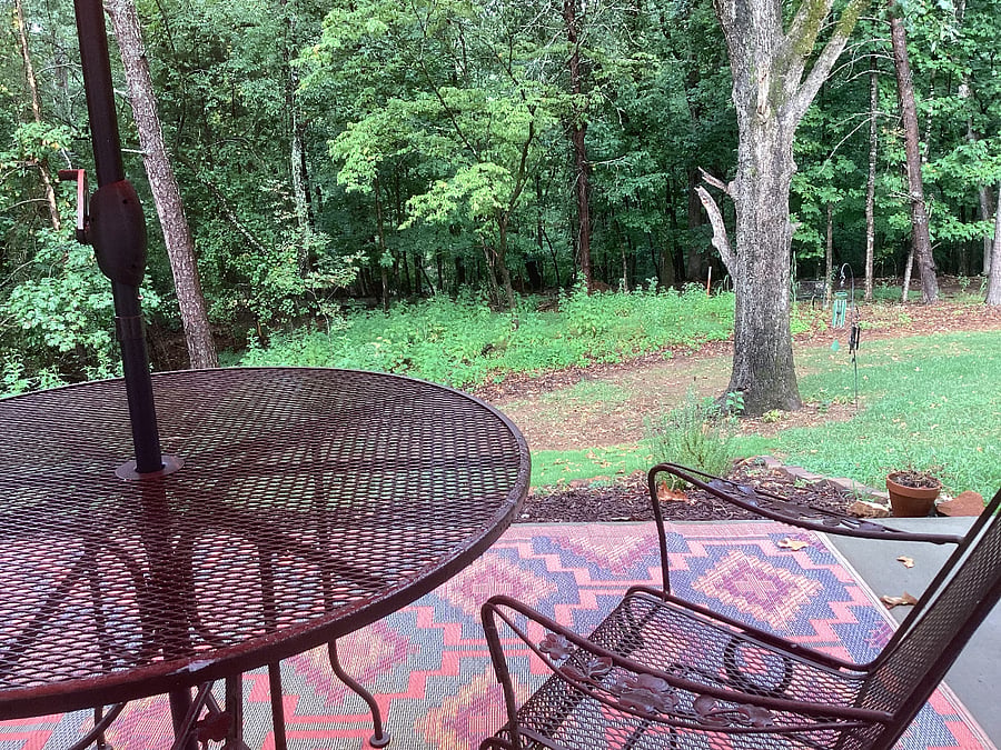 Furnished Finder property 561229_1 photo 11