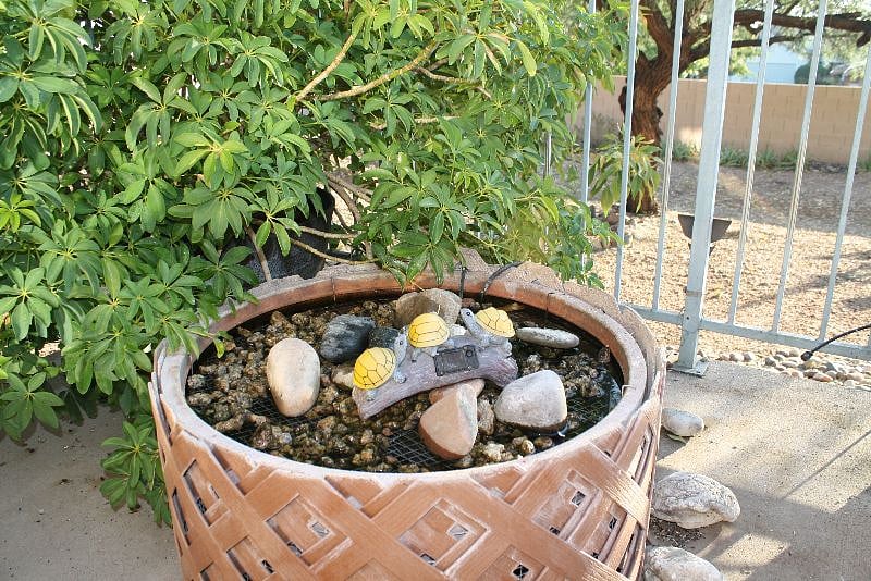 Pond on Back Patio