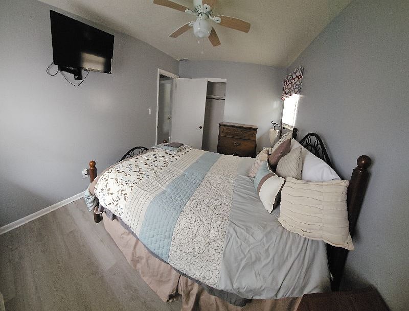 Furnished Finder property 561445_1 photo 15