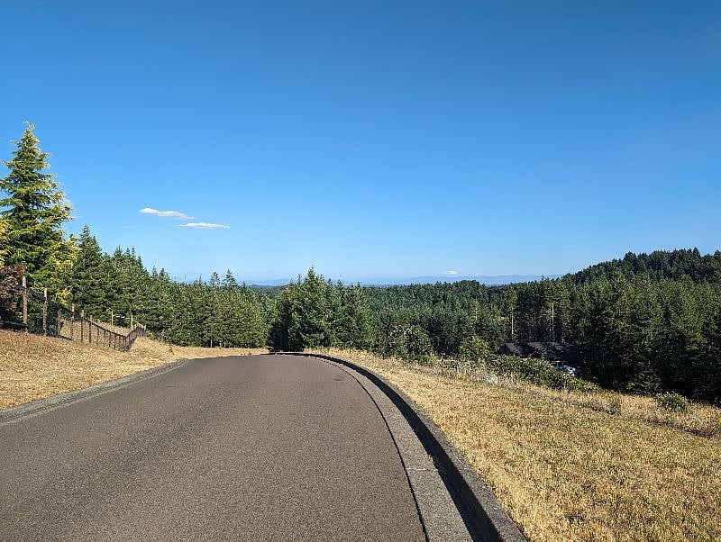 Views around the neighborhood. Peaceful area to take walks