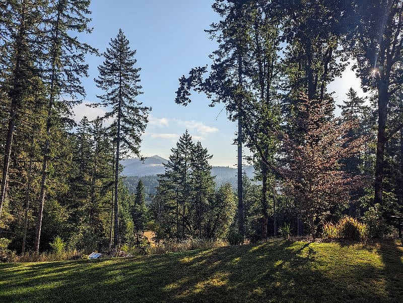 The views out back
