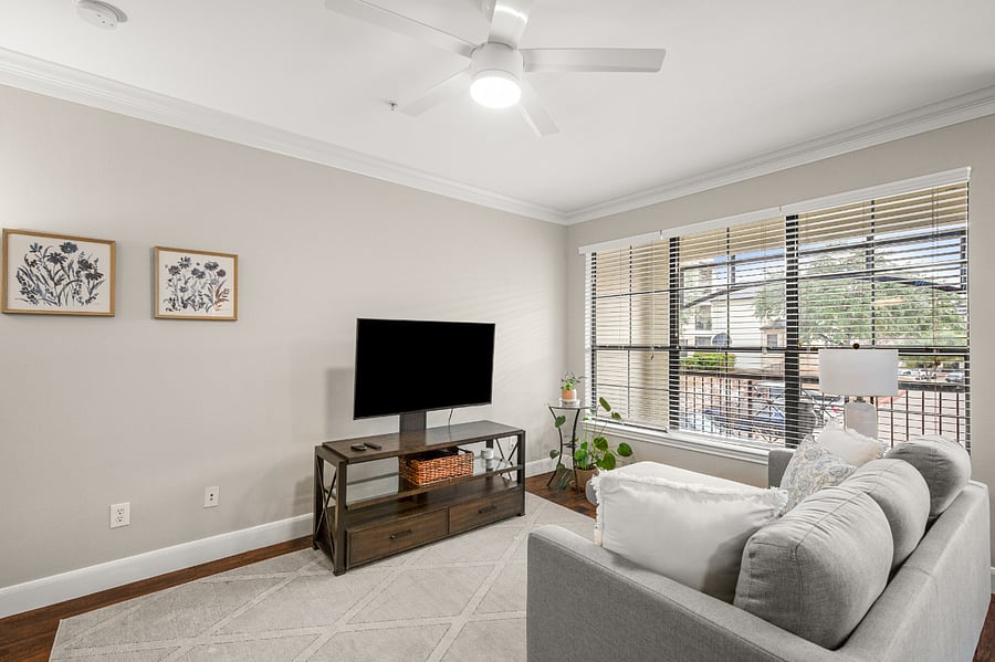 Furnished Finder property 561708_1 photo 13