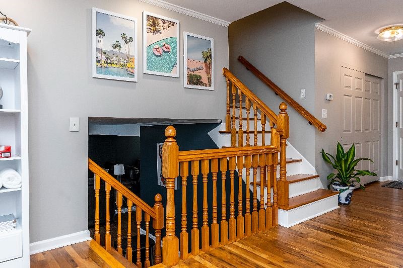 Furnished Finder property 561774_1 photo 12
