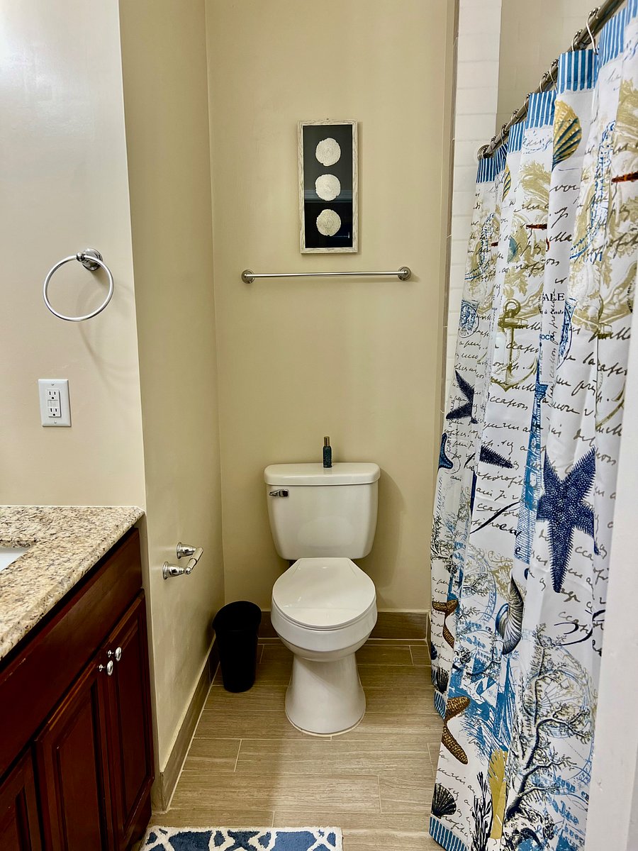 Furnished Finder property 561866_1 photo 4