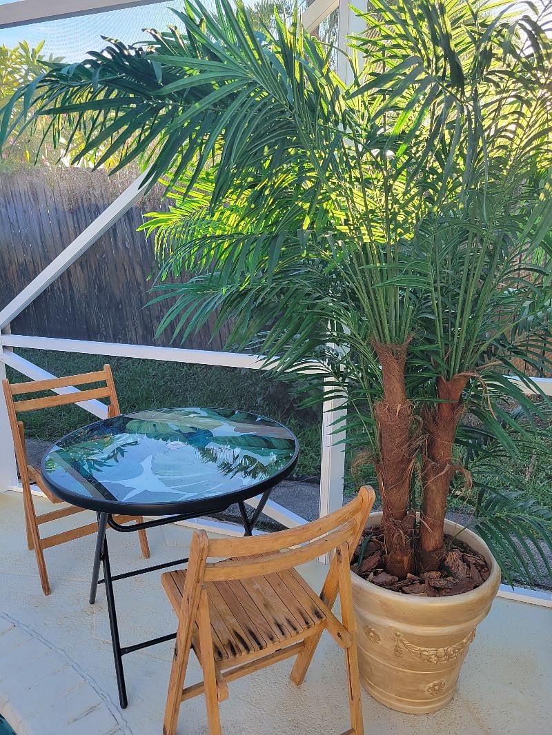 Furnished Finder property 561948_1 photo 7