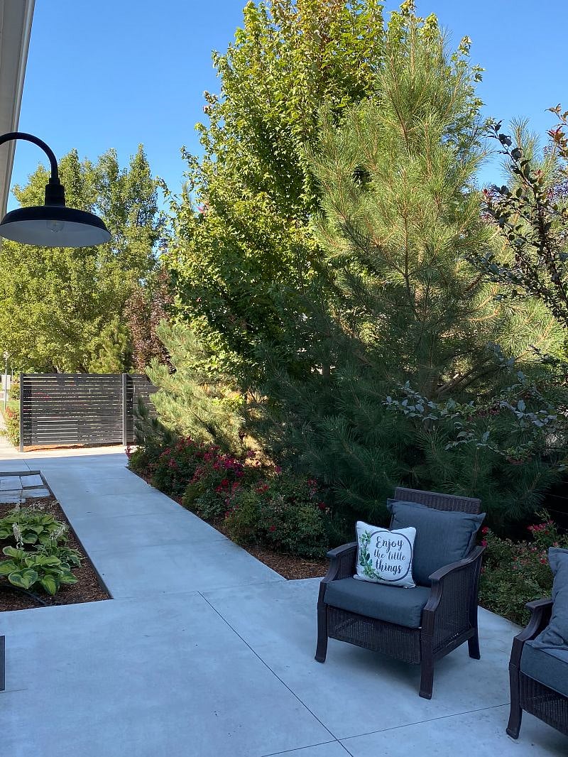 Looking back toward parking space from patio