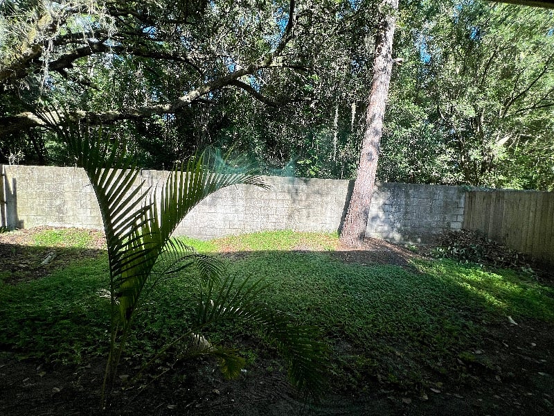Furnished Finder property 562118_1 photo 6