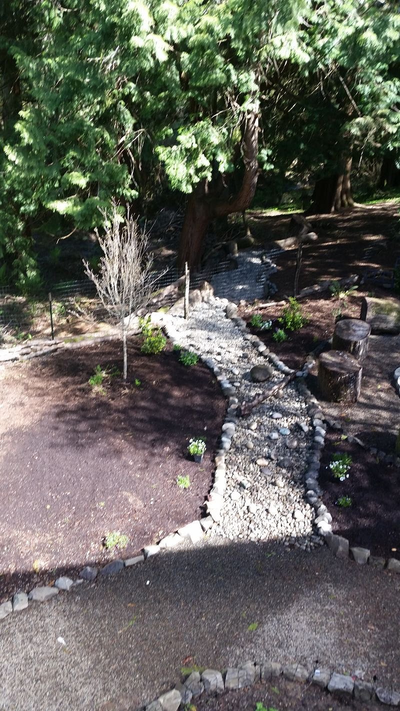 Backyard dry riverbed, view from deck