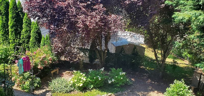 Backyard view from deck, spring
