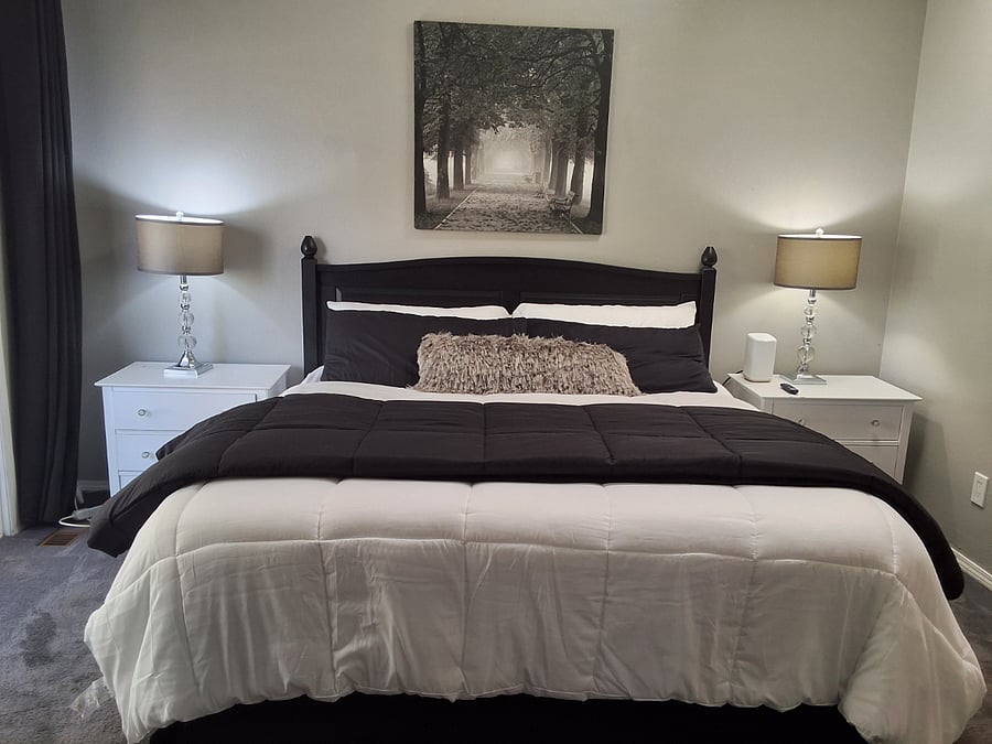 Primary bedroom with king-sized bed