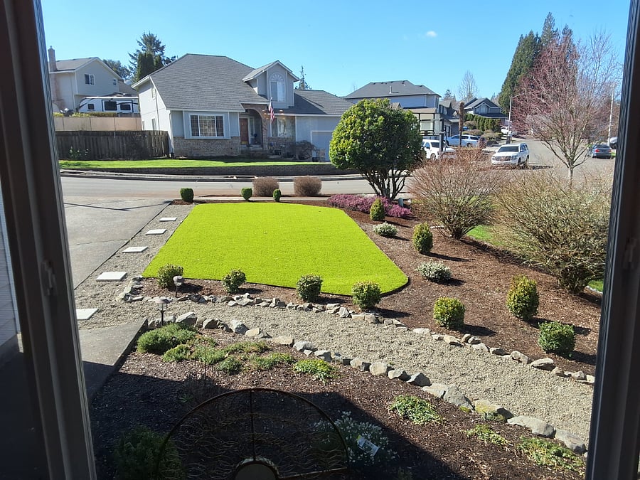 Artificially turfed front yard - always looks beautiful!!