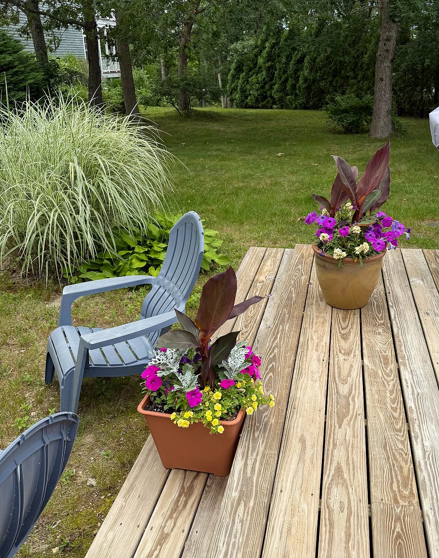 Furnished Finder property 562390_1 photo 9